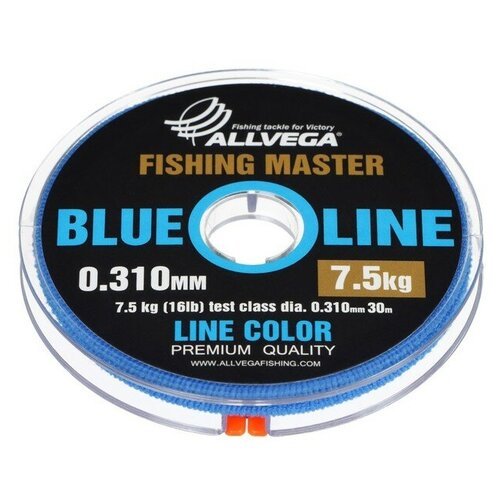 ALLVEGA Леска монофильная ALLVEGA Fishing Master, диаметр 0.310 мм, тест 7.5 кг, 30 м, голубая