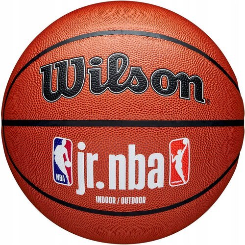 Мяч для баскетбола Wilson JR. NBA Fam Logo, Brown, 6