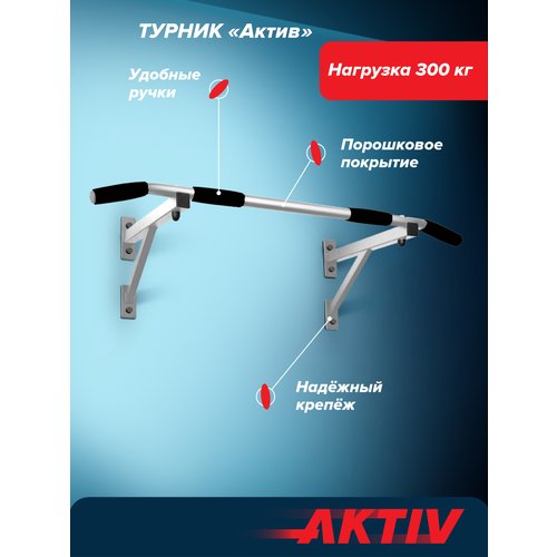 Турник настенный Aktiv белый разборный Aktiv/Absolute Champion