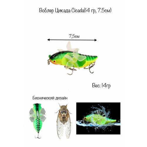 Воблер 'Цикада/Cicada' Вес:14гр, длинна 7,5см. Цвет Зеленый