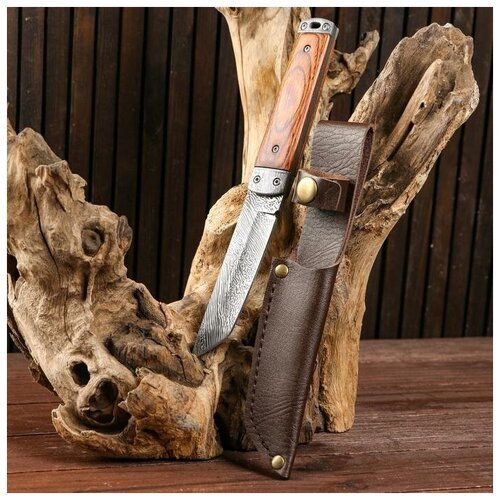 Нож охотничий 'Танто', 23 см, клинок 9,5 см (1шт.)