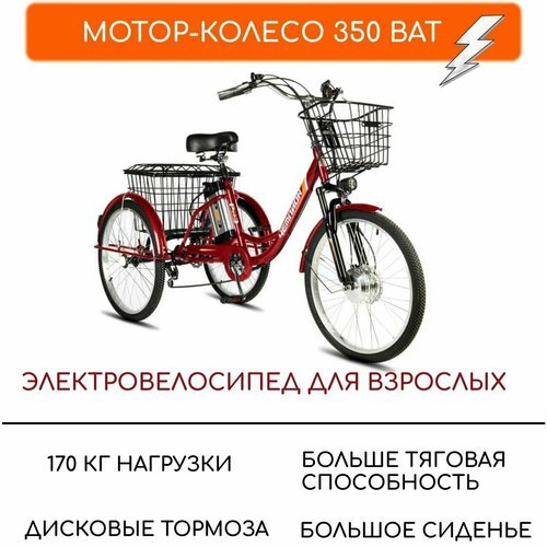 Электровелосипед трехколесные для взрослых РВЗ 'Чемпион', 350 12, 24', красный