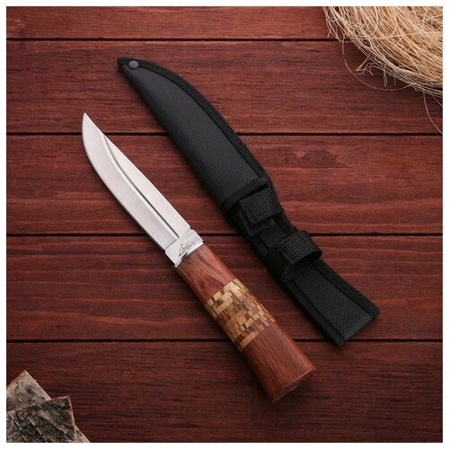 Нож охотничий 'Барди', лезвие 14 см, в чехле, деревянная рукоять с пробковой вставкой 1297733
