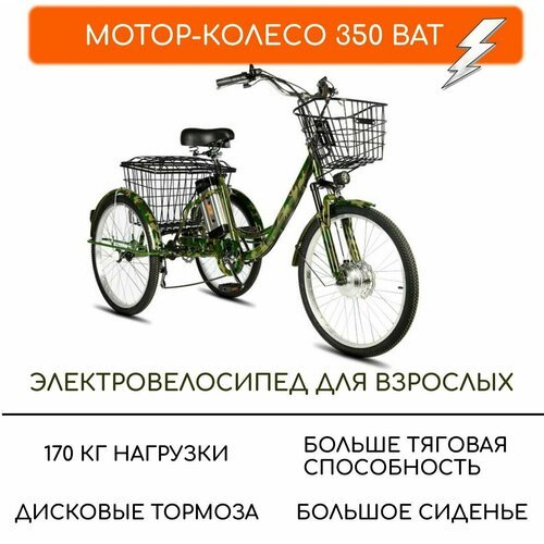 Электровелосипед трехколесный для взрослых РВЗ 'Чемпион', 350 12, хаки