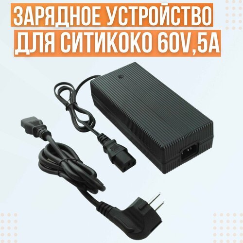 Зарядное устройство для Ситикоко 60V,5A