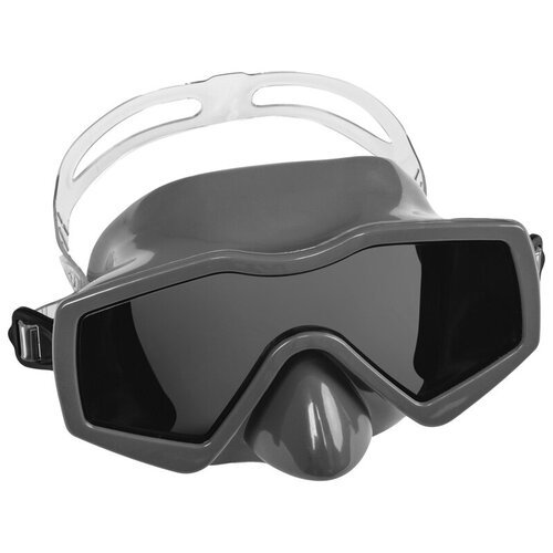 Bestway Маска для плавания Dominator Pro Mask, от 14 лет, цвета микс 22075