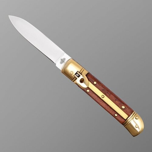 Нож складной 'Змей' сталь - 50Х14МФ, рукоять - паккавуд, клинок - 10 см 4863206