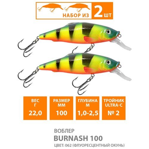 Воблер для рыбалки плавающий AQUA Burnash 100mm 22g заглубление от 1 до 2.5m цвет 062 2шт