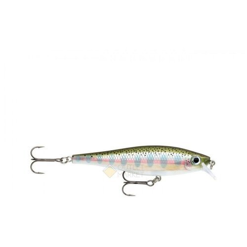 Воблер RAPALA BX Minnow 10 /RT