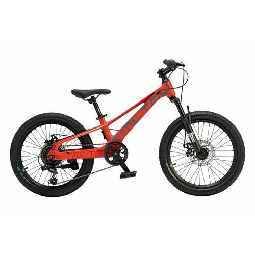 Велосипед детский 20 Timetry TT226, Красный, рама 10