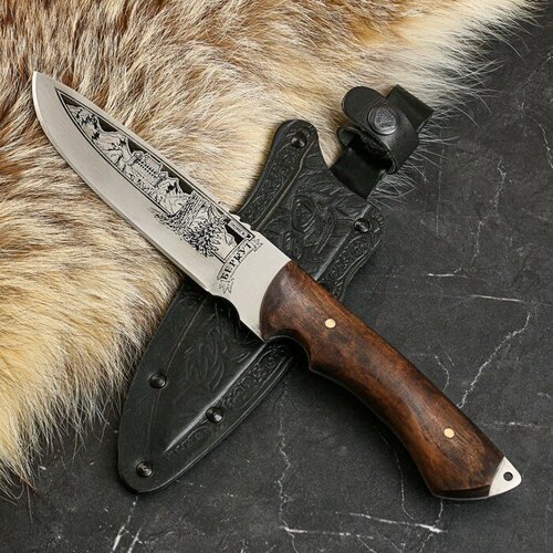 Сердце Кизляра Нож кавказский, туристический 'Беркут' с ножнами, сталь - 40х13, рукоять - орех, 14.5 см