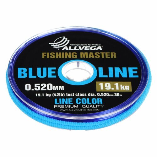 Леска монофильная ALLVEGA Fishing Master, диаметр 0.520 мм, тест 19,1 кг, 30 м, голубая