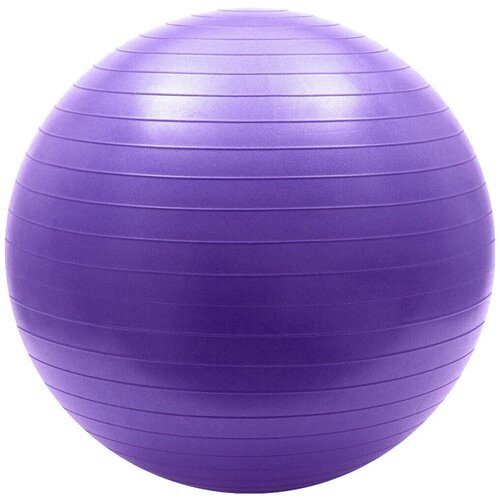 Мяч гимнастический Anti-Burst 65 см (фиолетовый) FBA-65-4