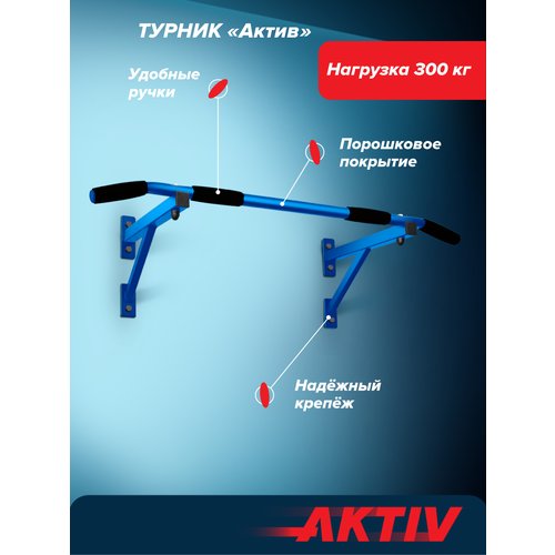 Турник настенный Aktiv синий разборный Aktiv/Absolute Champion