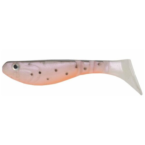 Силикон Wake 2 Flexfish RAINBOW TROUT 655