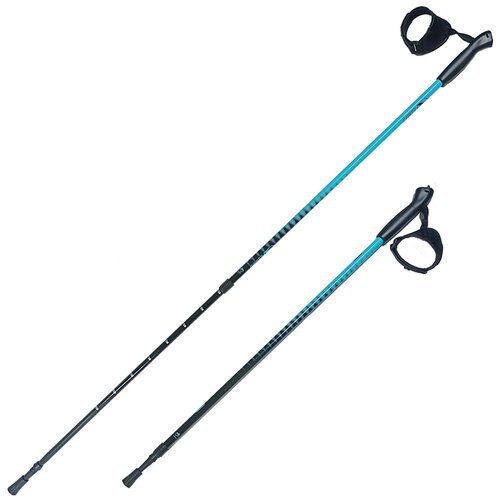 Палки для скандинавской ходьбы RGX NWS-101 blue