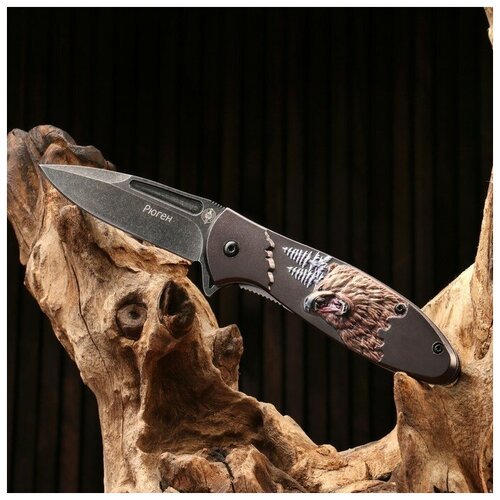 Нож складной 'Рюген' сталь - 420, рукоять - алюминий, 20 см
