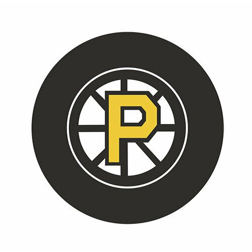 Шайба Rubena AHL Bruins Providence