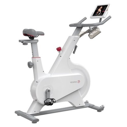 Вертикальный велотренажер YESOUL Smart Spinning bike M1, белый