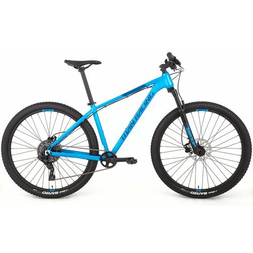 Велосипед Titan Racing Rogue Ryde (2024) L синий