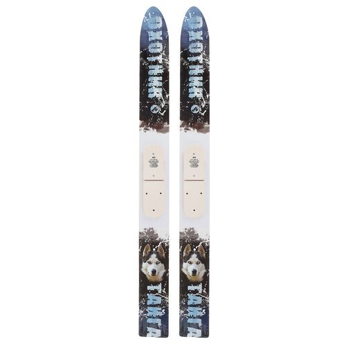 Лыжи охотничьи дерево-пластиковые «Тайга» 165 см, цвета микс