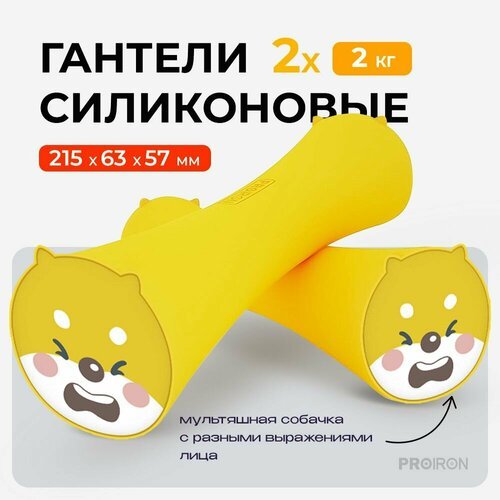 Гантели 2 кг, PROIRON, силиконовые, 2 штуки