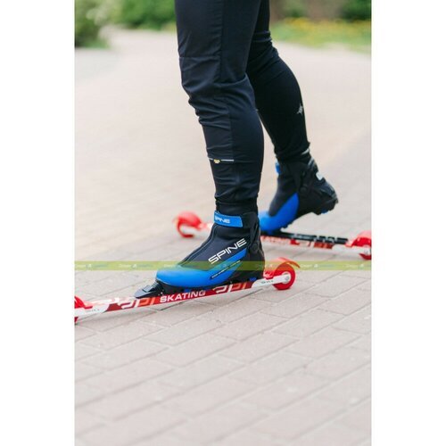 Ботинки лыжные NNN Spine Concept Combi 268 синий/черный (38 Eur)