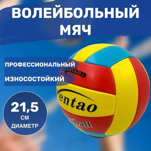 Мяч Волейбольный 5 размер