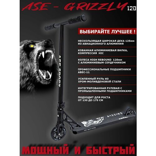 Самокат трюковой ASE Stunt Grizzly 120 черный