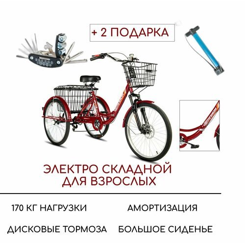 Электровелосипед трехколесный для взрослых РВЗ 'Чемпион' (складной), красный
