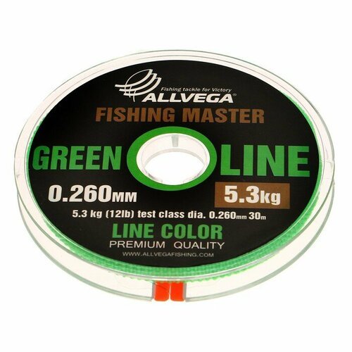 Леска монофильная ALLVEGA Fishing Master, диаметр 0.260 мм, тест 5.3 кг, 30 м, зеленая