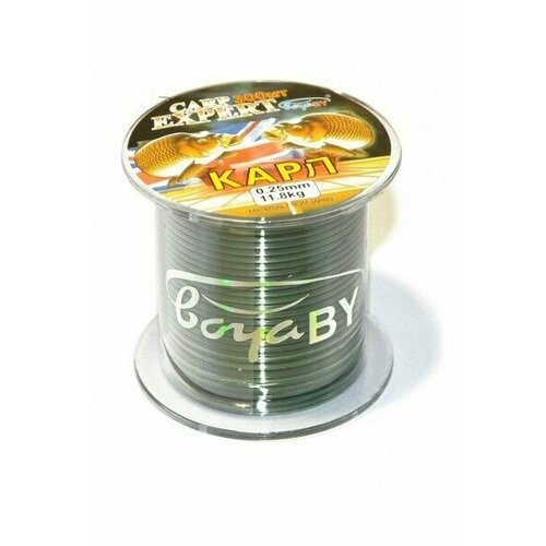 Леска Carp Expert 300 m. d 0.25 mm чёрно-зелёная